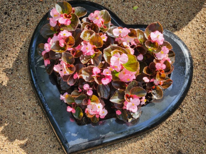 Open granite gravestone for urns in the shape of a heart