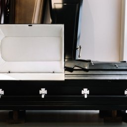 Preview image for  Leather Sarcophagus