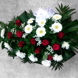 Preview image for  The morning spray is made of contrasting freshly cut flowers