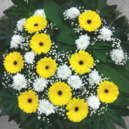 Preview image for  Funeral wreath with yellow gerberas and white chrysanthemums