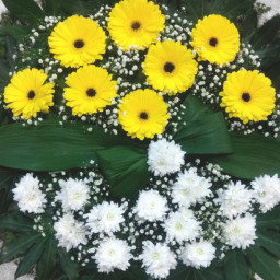 Preview image for  Funeral Wreath with Gerberas and Chrysanthemums