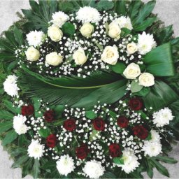 Preview image for  Two-coloured flower combination