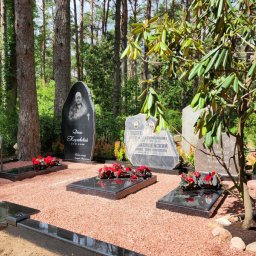 Preview image for  Family grave site beautification