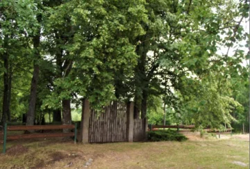 Plakanciema kapi Logo