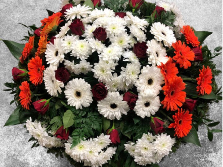 Bēru vainags no gerberām 80 cm Nr.161