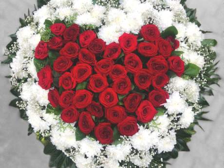 Ekskluzīvs bēru vainags ar sirdi  sarkanas rozēs un baltā krizantemasNr.332