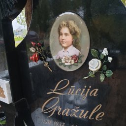 Preview image for  Oval portrait on glass