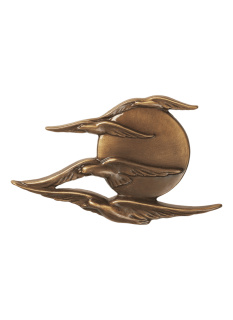 Flying birds P31 083