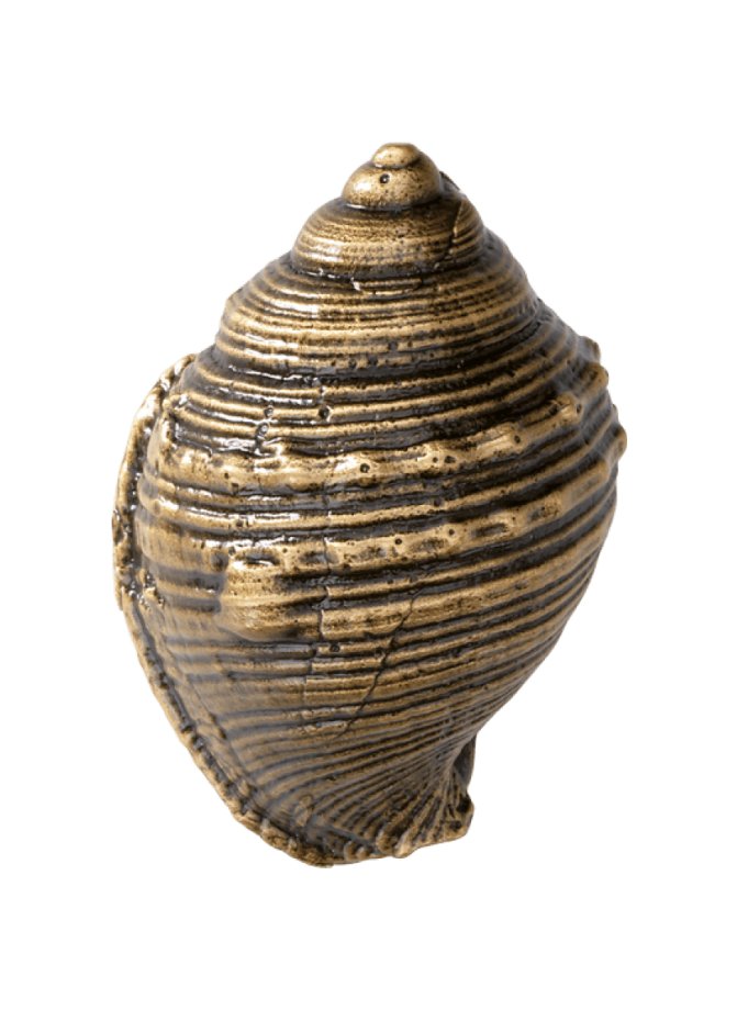 Ракушка T29 104