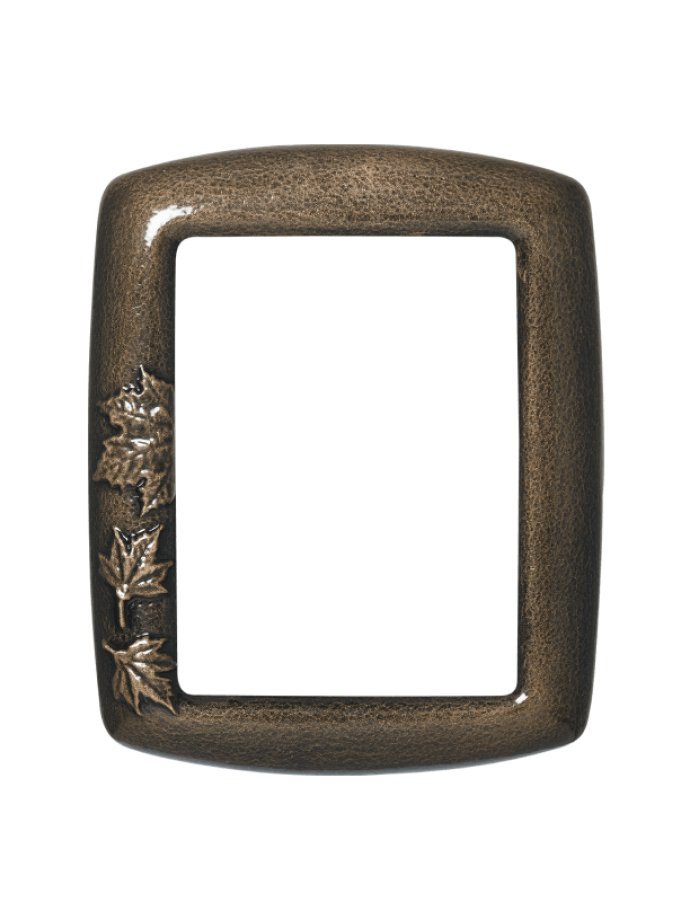 Frame for photoceramics P21 035