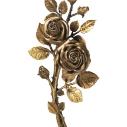 Preview image for  Роза