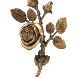 Preview image for  Роза