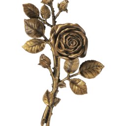 Preview image for  Роза