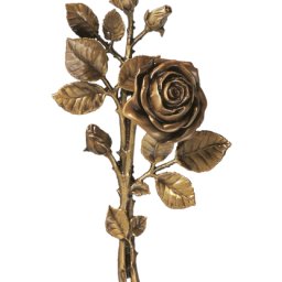 Preview image for  Rose