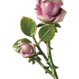 Preview image for  Rose