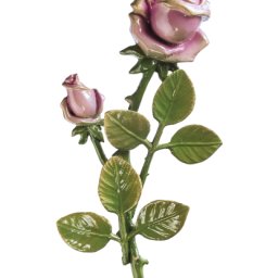 Preview image for  Rose