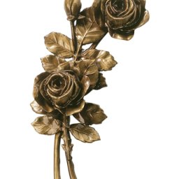 Preview image for  Rose