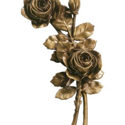 Preview image for  Rose