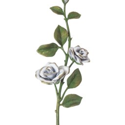 Preview image for  Rose