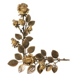 Preview image for  Роза