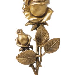 Preview image for  Rose