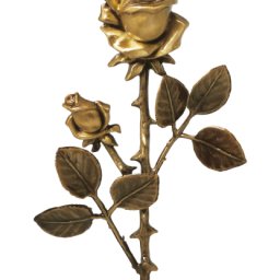 Preview image for  Rose