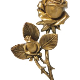 Preview image for  Rose