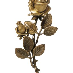 Preview image for  Rose