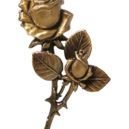 Preview image for  Rose