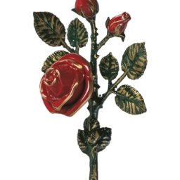 Preview image for  Rose