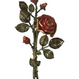 Preview image for  Rose