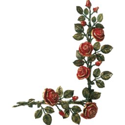 Preview image for  Роза