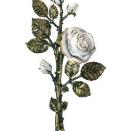 Preview image for  Rose