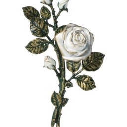 Preview image for  Rose