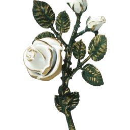 Preview image for  Rose