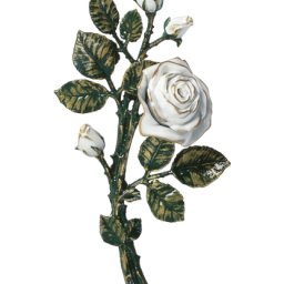 Preview image for  Rose