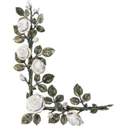 Preview image for  Rose