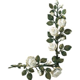 Preview image for  Rose