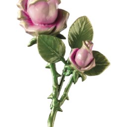 Preview image for  Rose