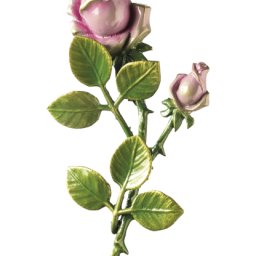 Preview image for  Rose