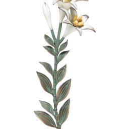 Preview image for  Lelija