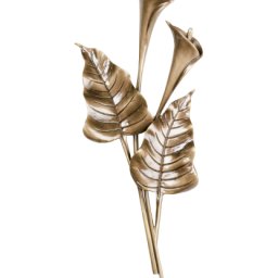 Preview image for  Каллия