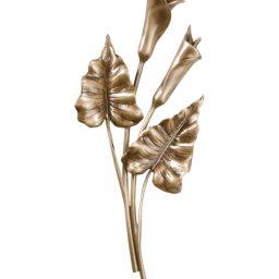 Preview image for  Каллия