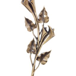 Preview image for  Calla