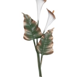 Preview image for  Calla