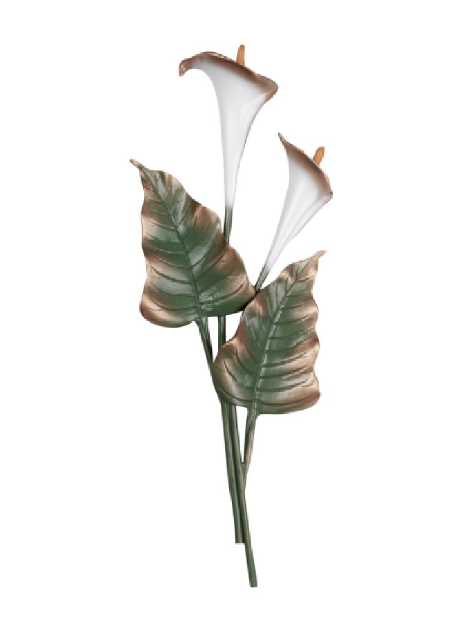 Calla