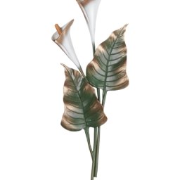 Preview image for  Calla