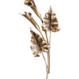 Preview image for  Calla