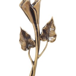 Preview image for  Calla