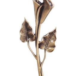 Preview image for  Calla